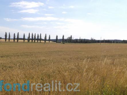 Prodej - pozemek, zemědělská půda, 8 561 m²
