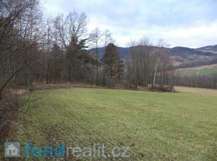 Prodej - pozemek, zemědělská půda, 4 567 m²