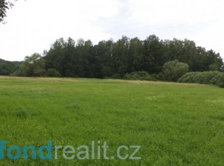Prodej - pozemek, zemědělská půda, 5 581 m² obrázek