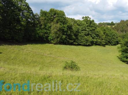 Prodej - pozemek, zemědělská půda, 2 481 m²