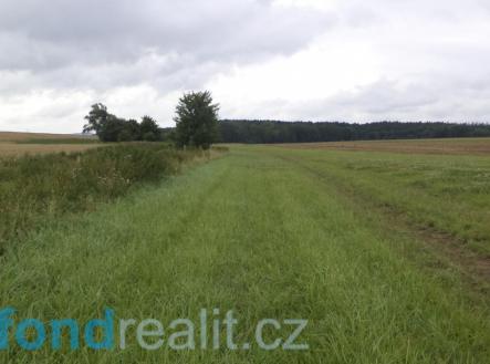 Prodej - pozemek, zemědělská půda, 8 654 m²