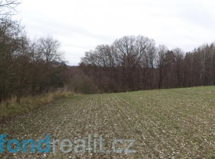 Prodej - pozemek, zemědělská půda, 4 224 m²