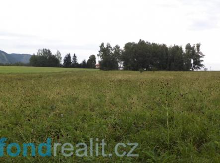 Prodej - pozemek, zemědělská půda, 6 774 m²