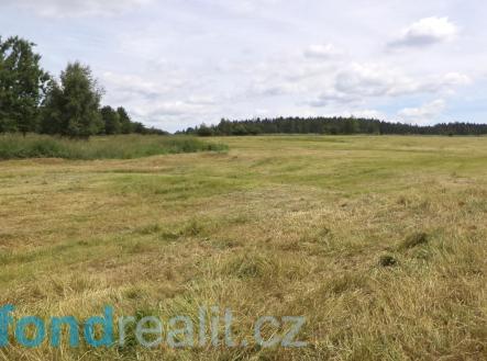 Prodej - pozemek, zemědělská půda, 9 608 m²