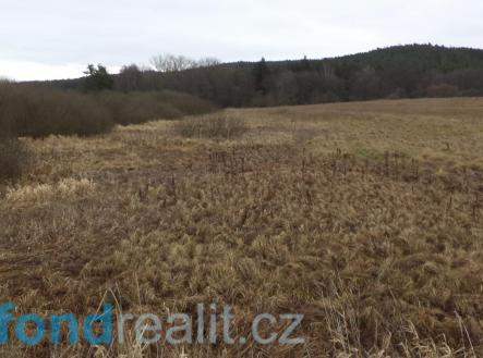 Prodej - pozemek, zemědělská půda, 13 083 m²