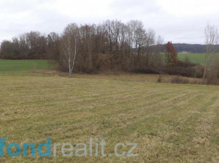 Prodej - pozemek, zemědělská půda, 26 135 m²