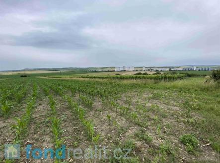 . | Prodej - pozemek, zemědělská půda, 1 382 m²