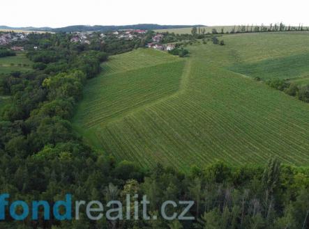 . | Prodej - pozemek, ostatní, 7 374 m²