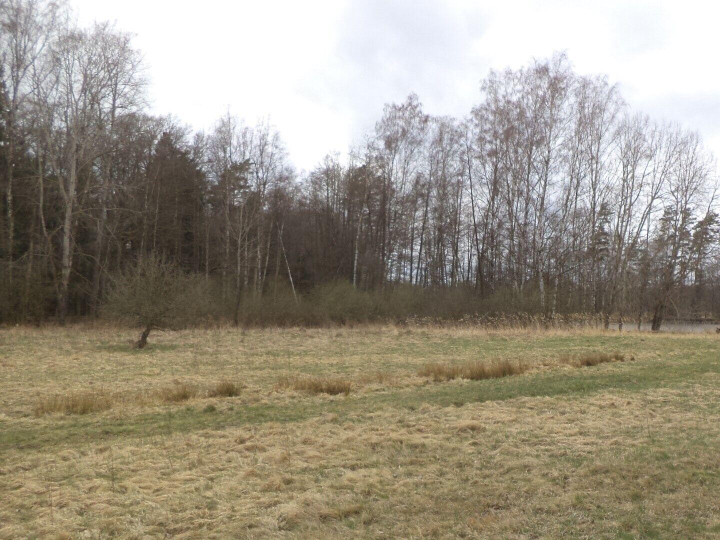 Prodej pozemků Lutová