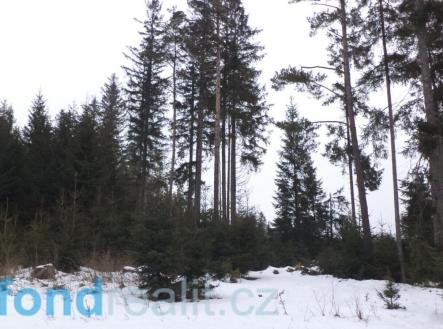 . | Prodej - pozemek, ostatní, 19 660 m²