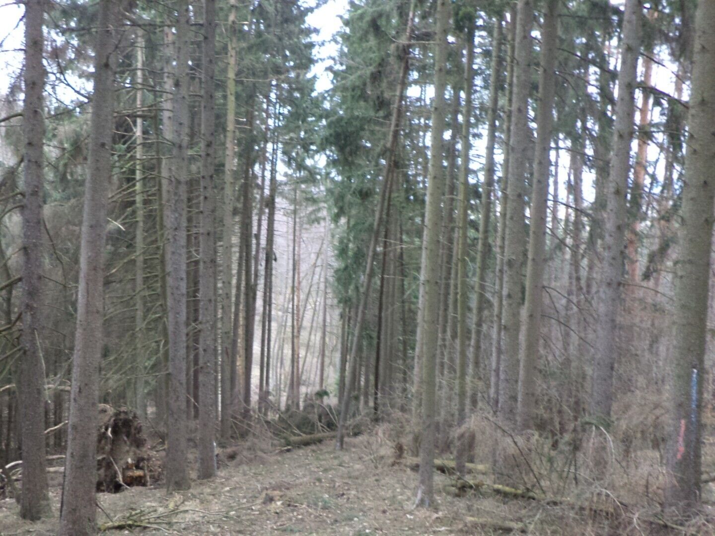Dražba pozemků Ludkovice