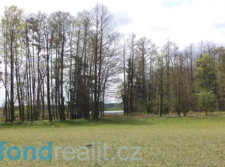 . | Prodej - pozemek, ostatní, 7 959 m²