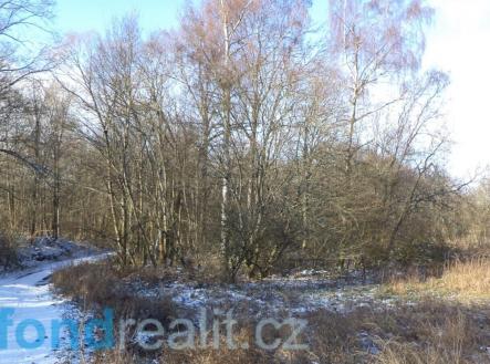 . | Prodej - pozemek, ostatní, 3 575 m²