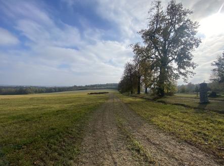 Prodej - pozemek, zemědělská půda, 2 203 m²