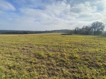 Prodej - pozemek, zemědělská půda, 2 203 m²