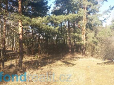 Prodej - pozemek, ostatní, 10 115 m² obrázek