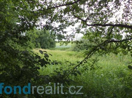 . | Prodej - pozemek, ostatní, 4 172 m²