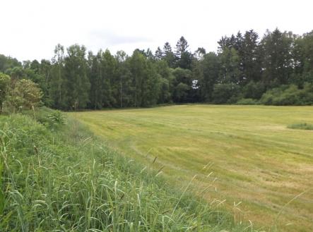 Prodej - pozemek, ostatní, 2 389 m²