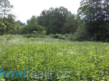 . | Prodej - pozemek, zemědělská půda, 3 859 m²