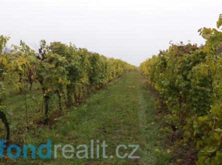 Prodej - pozemek, ostatní, 4 541 m² obrázek