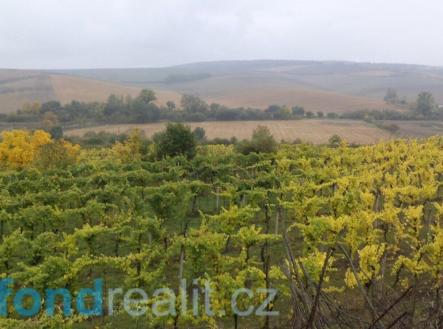 . | Prodej - pozemek, ostatní, 4 541 m²