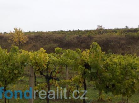 . | Prodej - pozemek, ostatní, 4 541 m²