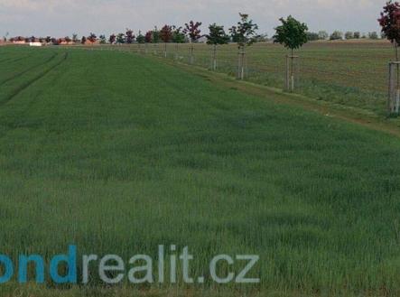 Prodej - pozemek, ostatní, 4 552 m² obrázek