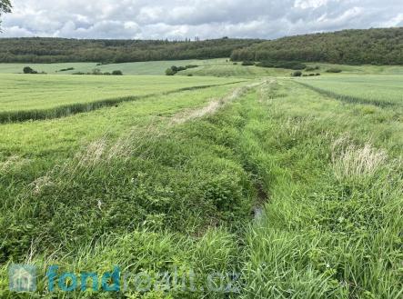 . | Prodej - pozemek, zemědělská půda, 7 934 m²