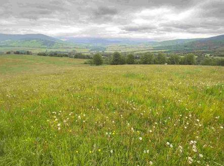 Prodej - pozemek, zemědělská půda, 363 810 m²