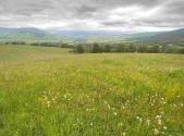 Prodej - pozemek, zemědělská půda, 363 810 m²