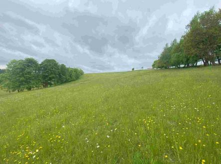 Prodej - pozemek, zemědělská půda, 363 810 m²