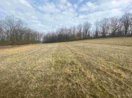 Prodej - pozemek, ostatní, 9 269 m² obrázek