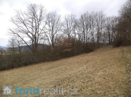 . | Prodej - pozemek, ostatní, 7 394 m²