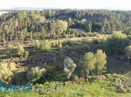 . | Prodej - pozemek, zemědělská půda, 2 442 m²