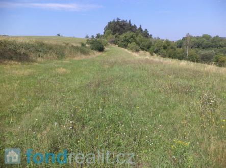 . | Prodej - pozemek, zemědělská půda, 2 195 m²