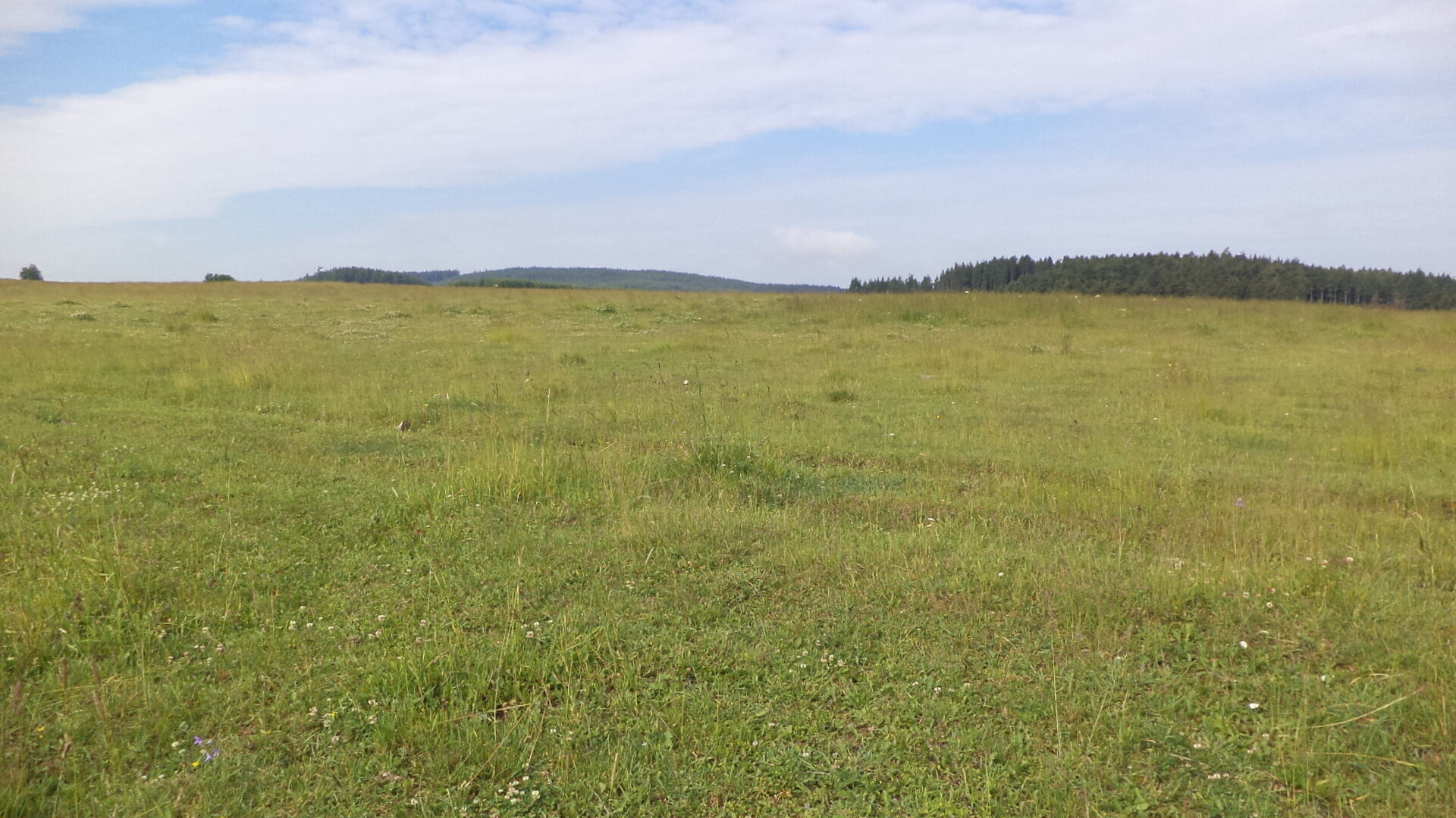 DRAŽBA pozemků Horní Štěpánov, podílové spoluvlastnictví 1/4