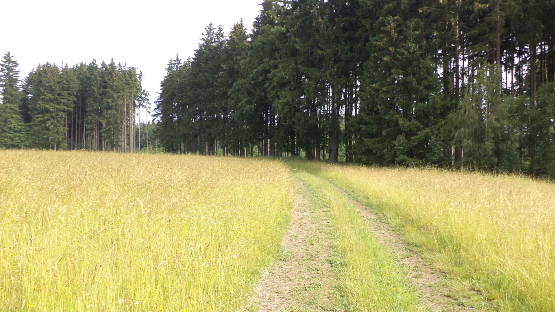 DRAŽBA pozemků Horní Štěpánov, podílové spoluvlastnictví 1/4