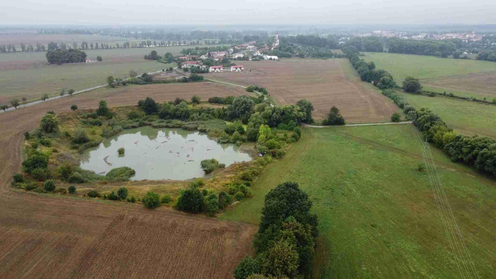 Prodej pozemků Nový Bydžov