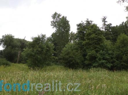 . | Prodej - pozemek, zemědělská půda, 8 654 m²