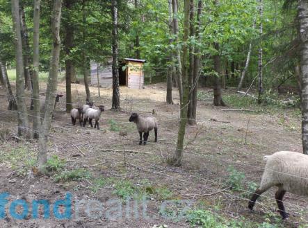 . | Prodej - pozemek, ostatní, 5 978 m²