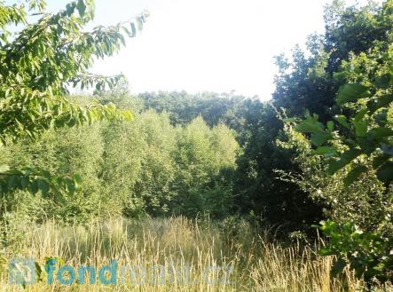 Prodej - pozemek, ostatní, 2 629 m² obrázek