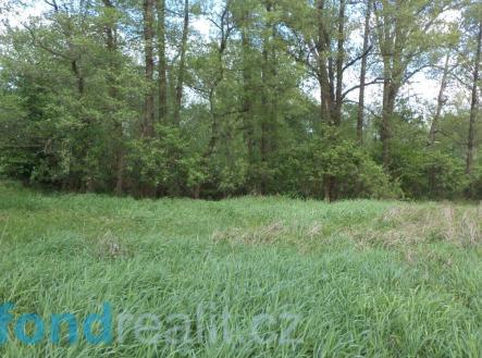 . | Prodej - pozemek, ostatní, 1 844 m²