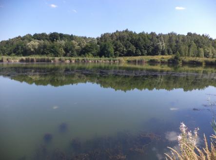 Prodej - pozemek, ostatní, 1 274 m²