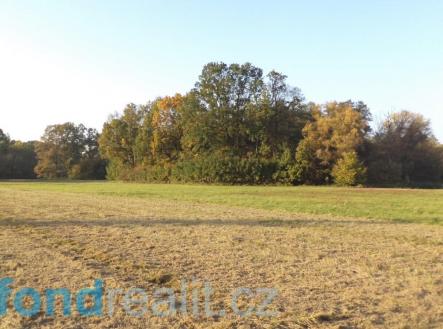 Prodej - pozemek, ostatní, 6 981 m² obrázek