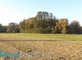 Prodej - pozemek, ostatní, 6 981 m²