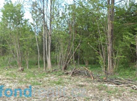 . | Prodej - pozemek, zemědělská půda, 2 806 m²