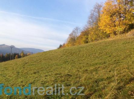 . | Prodej - pozemek, zemědělská půda, 9 791 m²