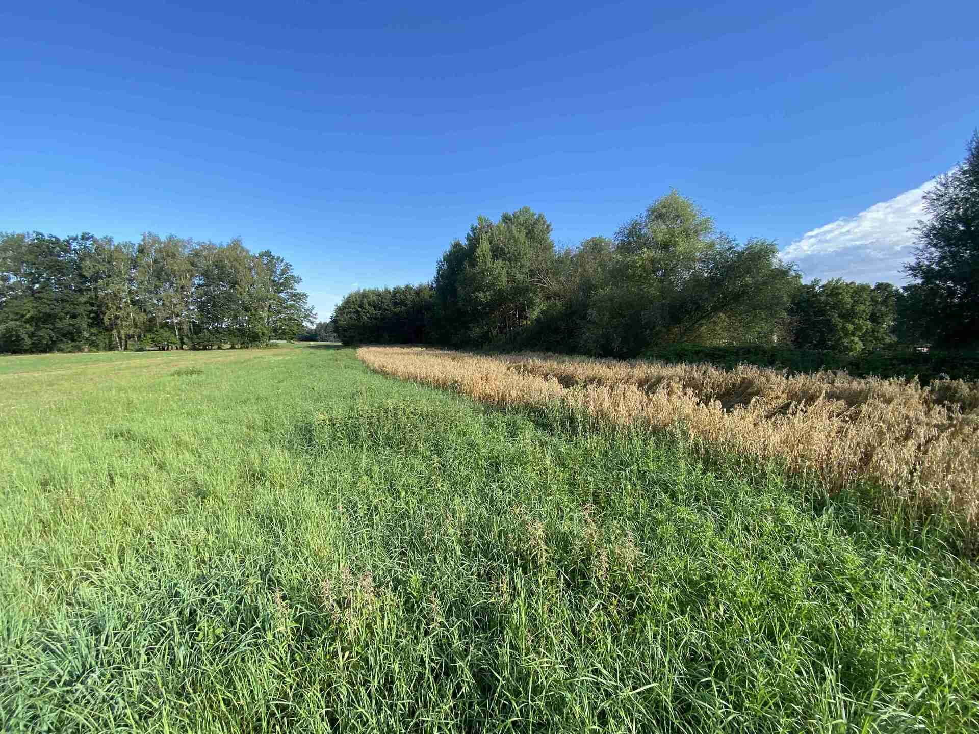 Prodej pozemku Žíteč