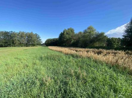 Prodej - pozemek, ostatní, 1 447 m²