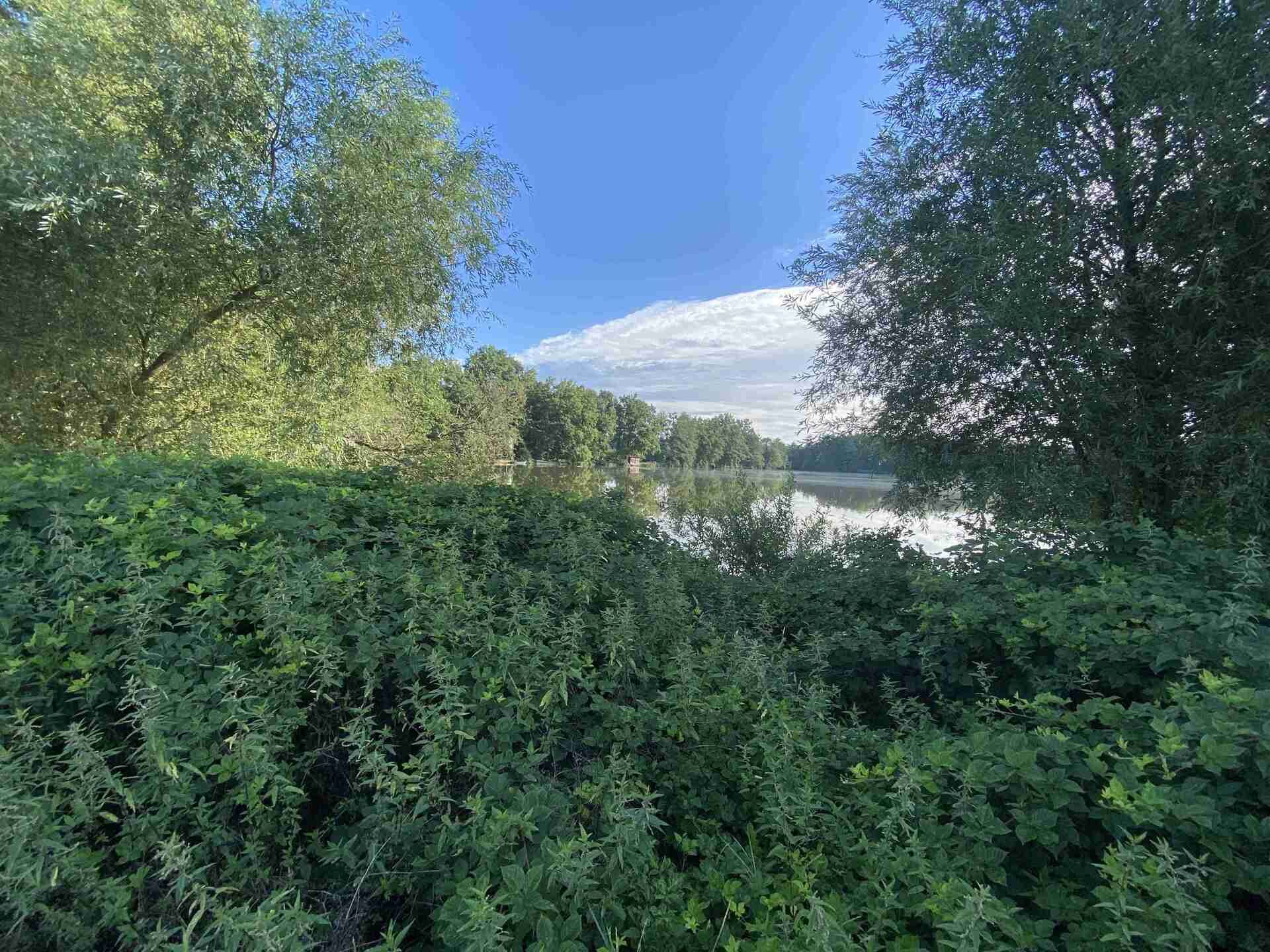 Prodej pozemku Žíteč